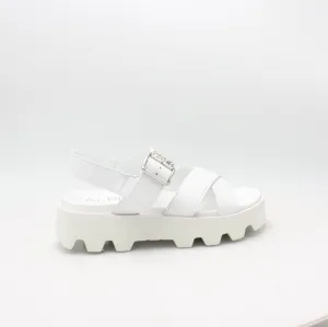 2399 ALPE 22