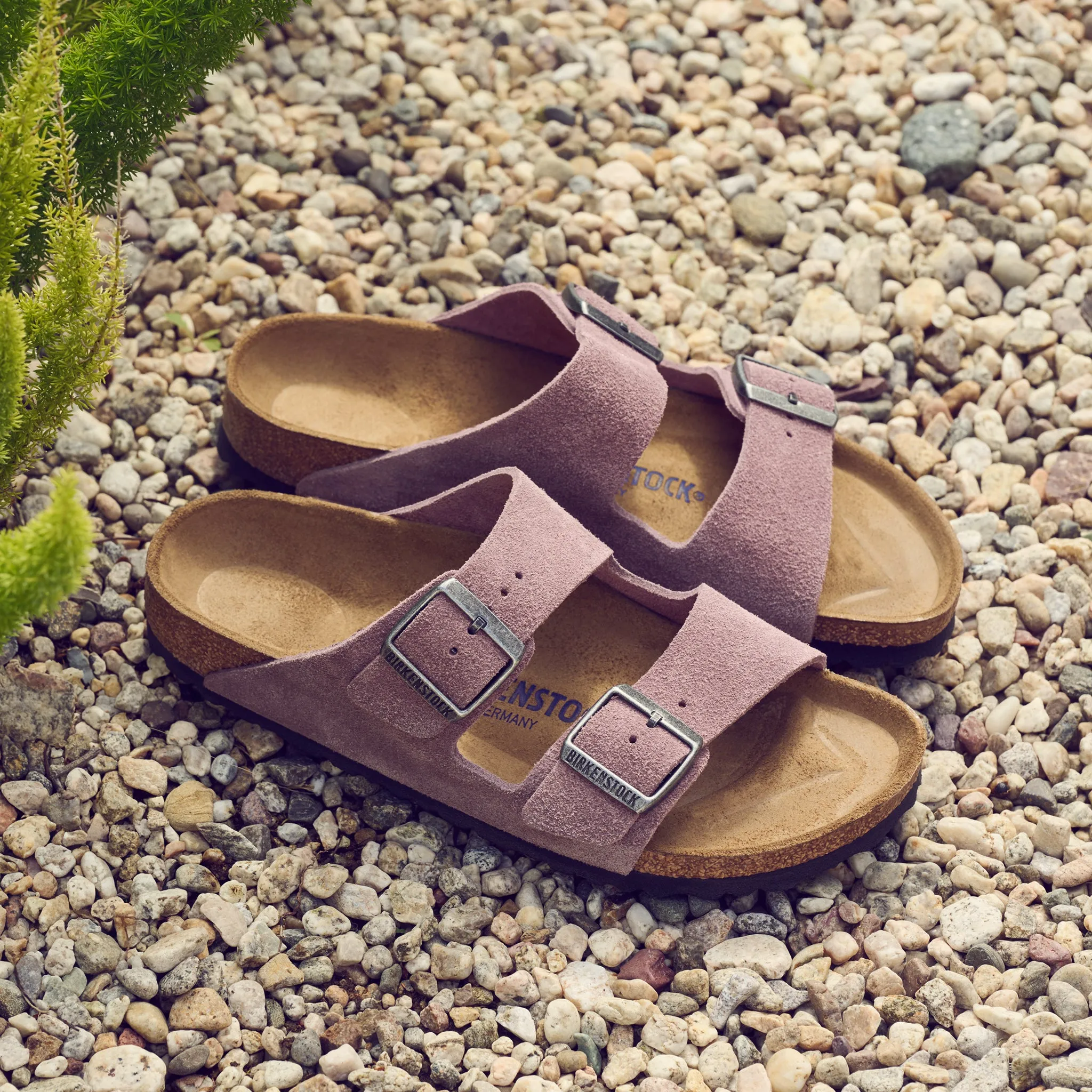 ARIZONA SOFT - FADED PURPLE - SUEDE