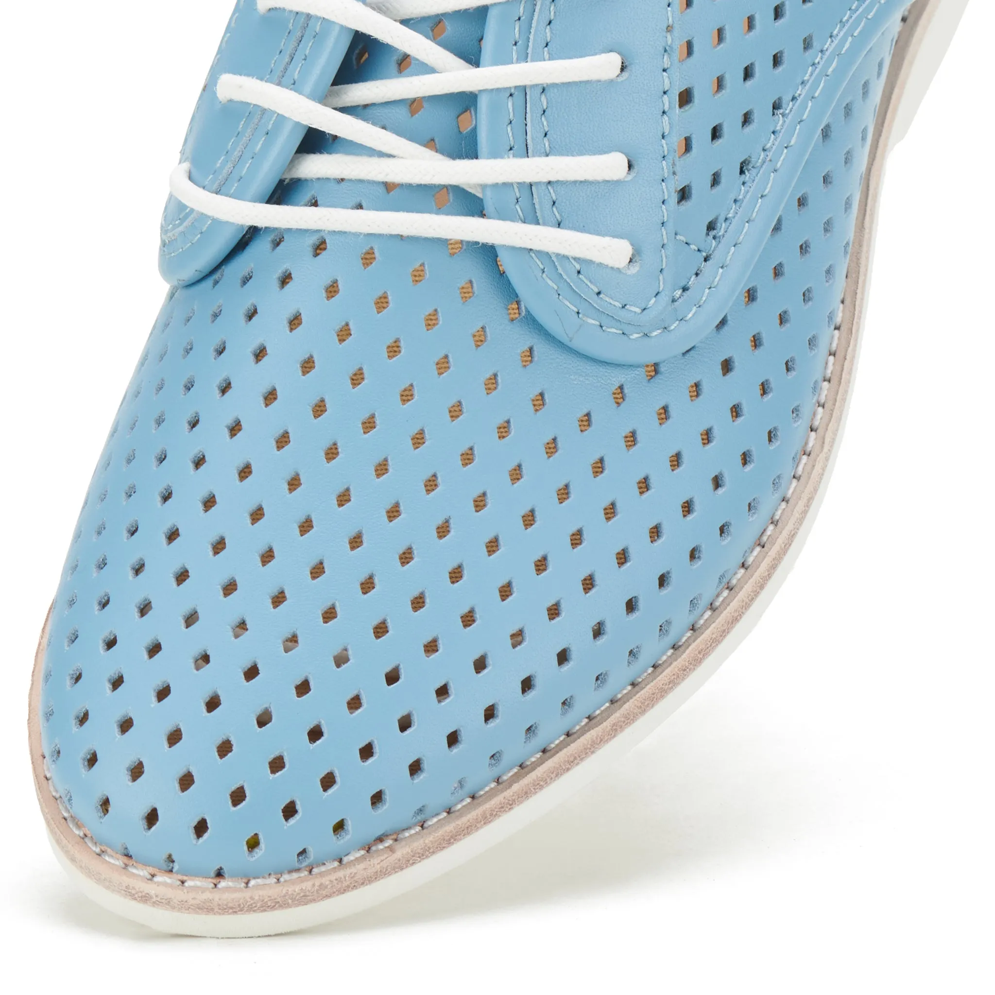 DERBY PUNCH || STEEL BLUE || ROLLIE