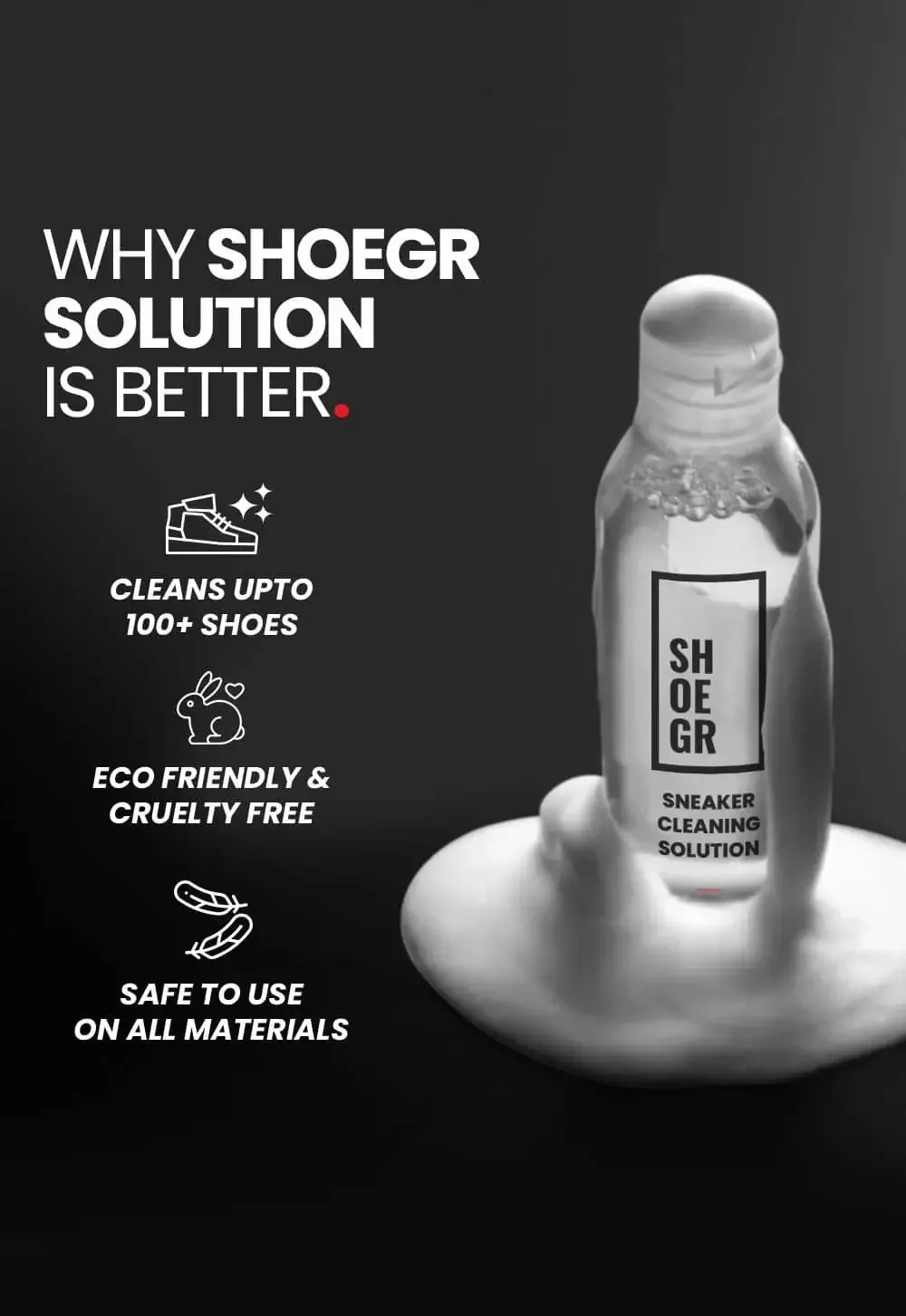 The Supreme Shoe Cleaning Kit
