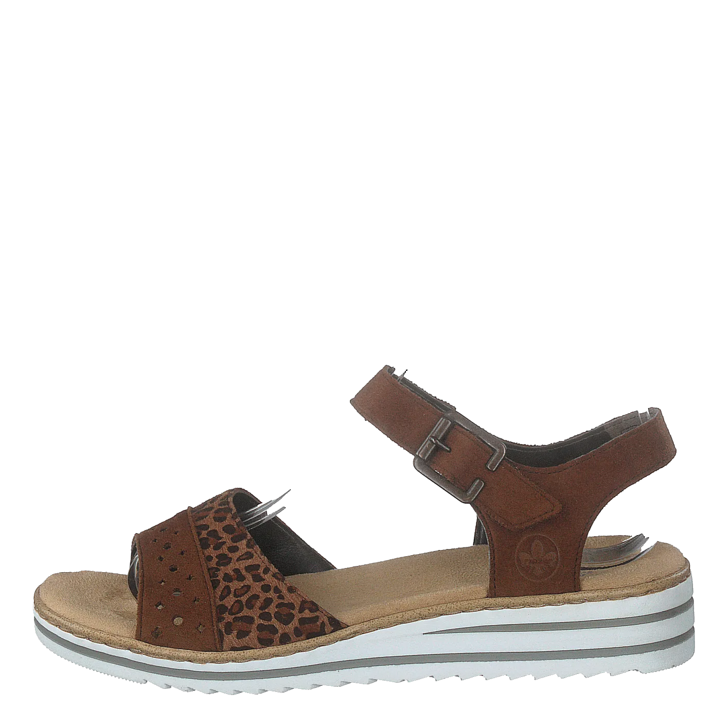 V0626-24 Leo/brown