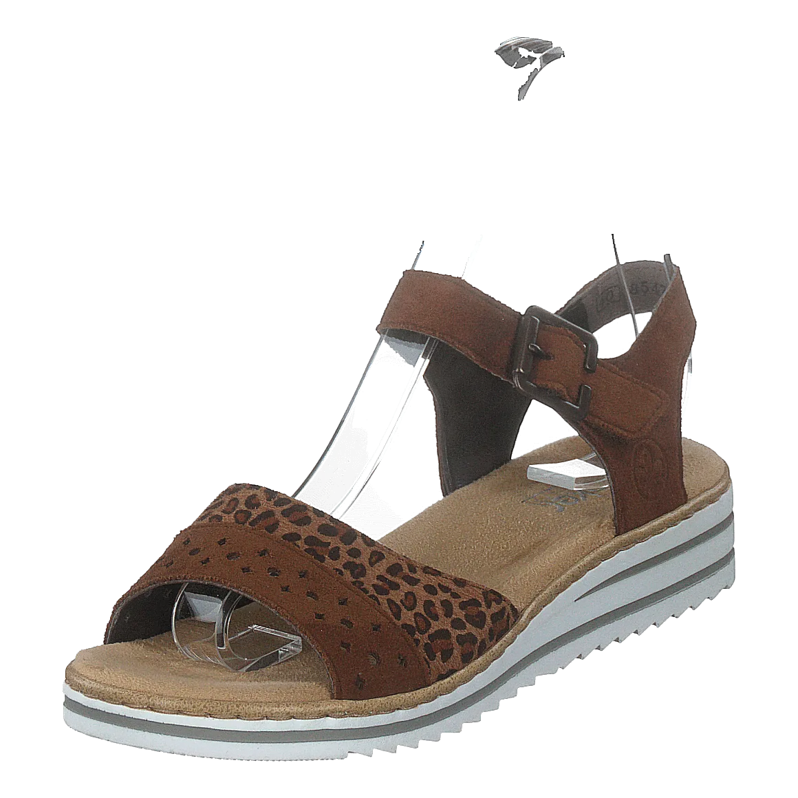 V0626-24 Leo/brown