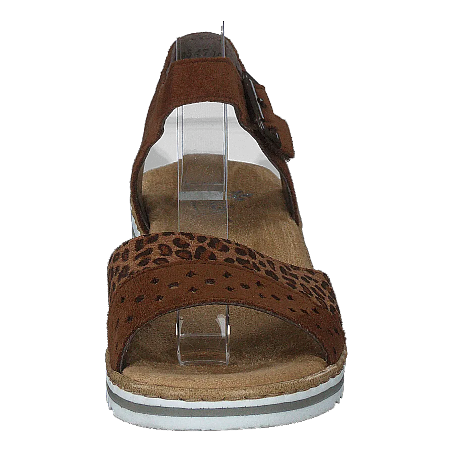 V0626-24 Leo/brown