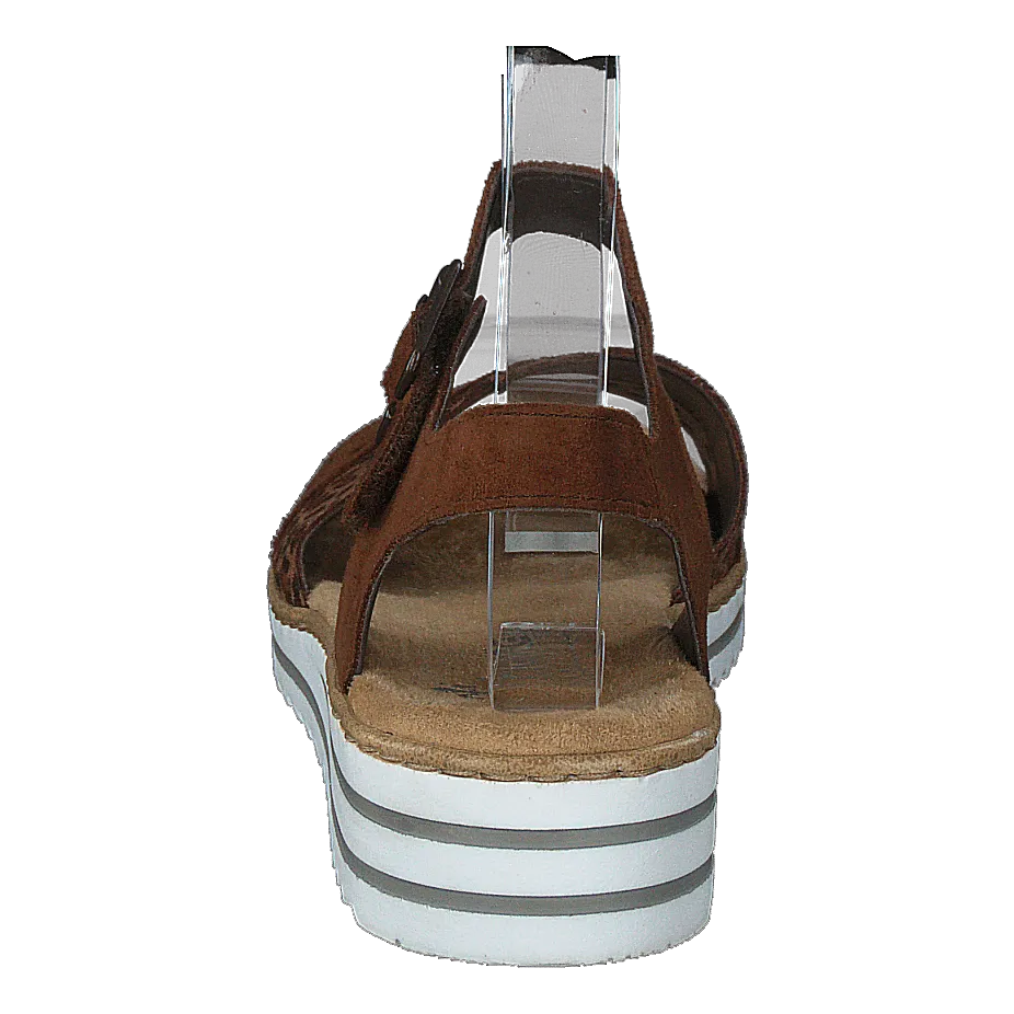 V0626-24 Leo/brown