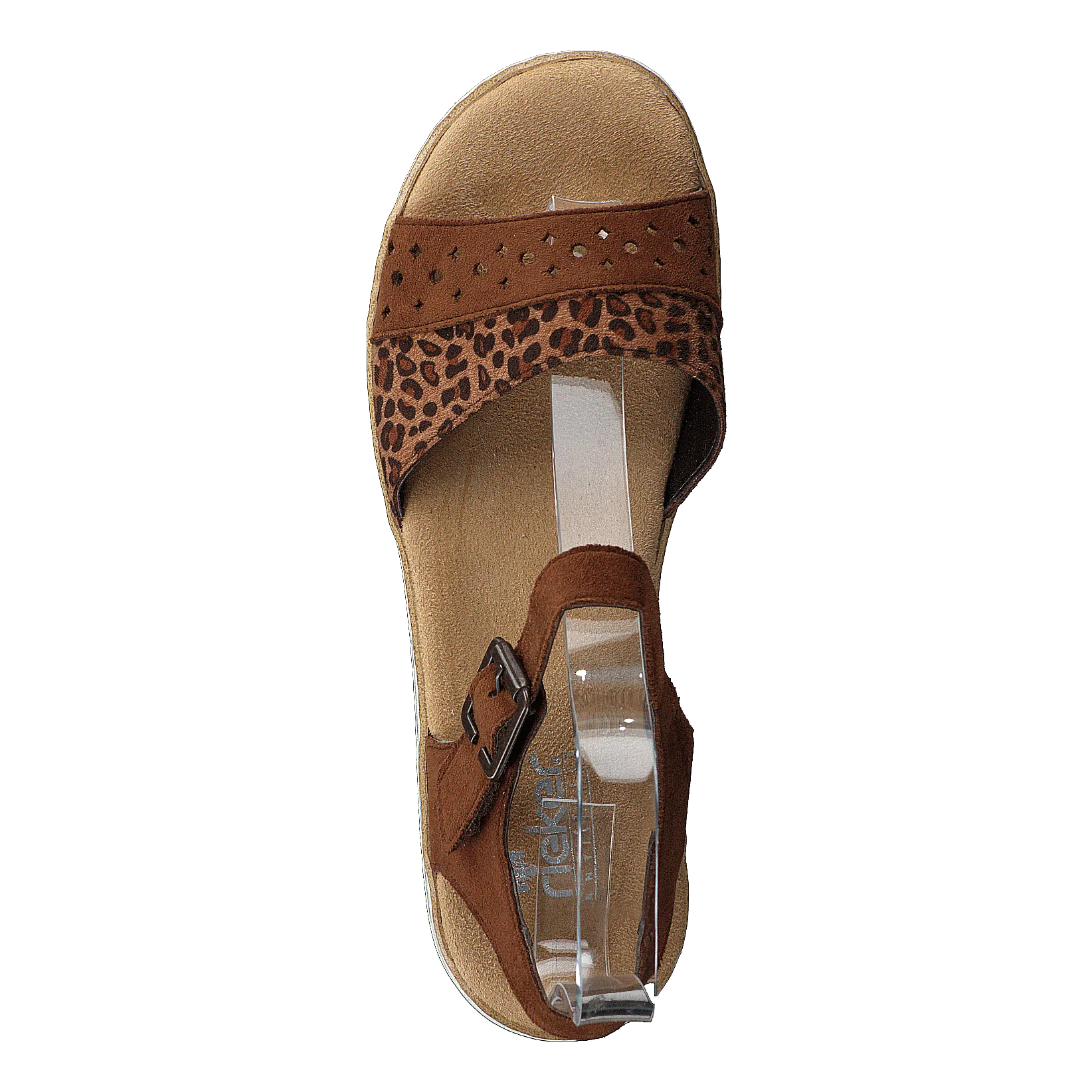 V0626-24 Leo/brown