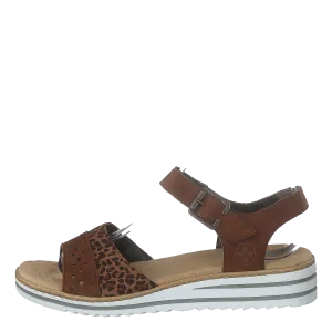 V0626-24 Leo/brown