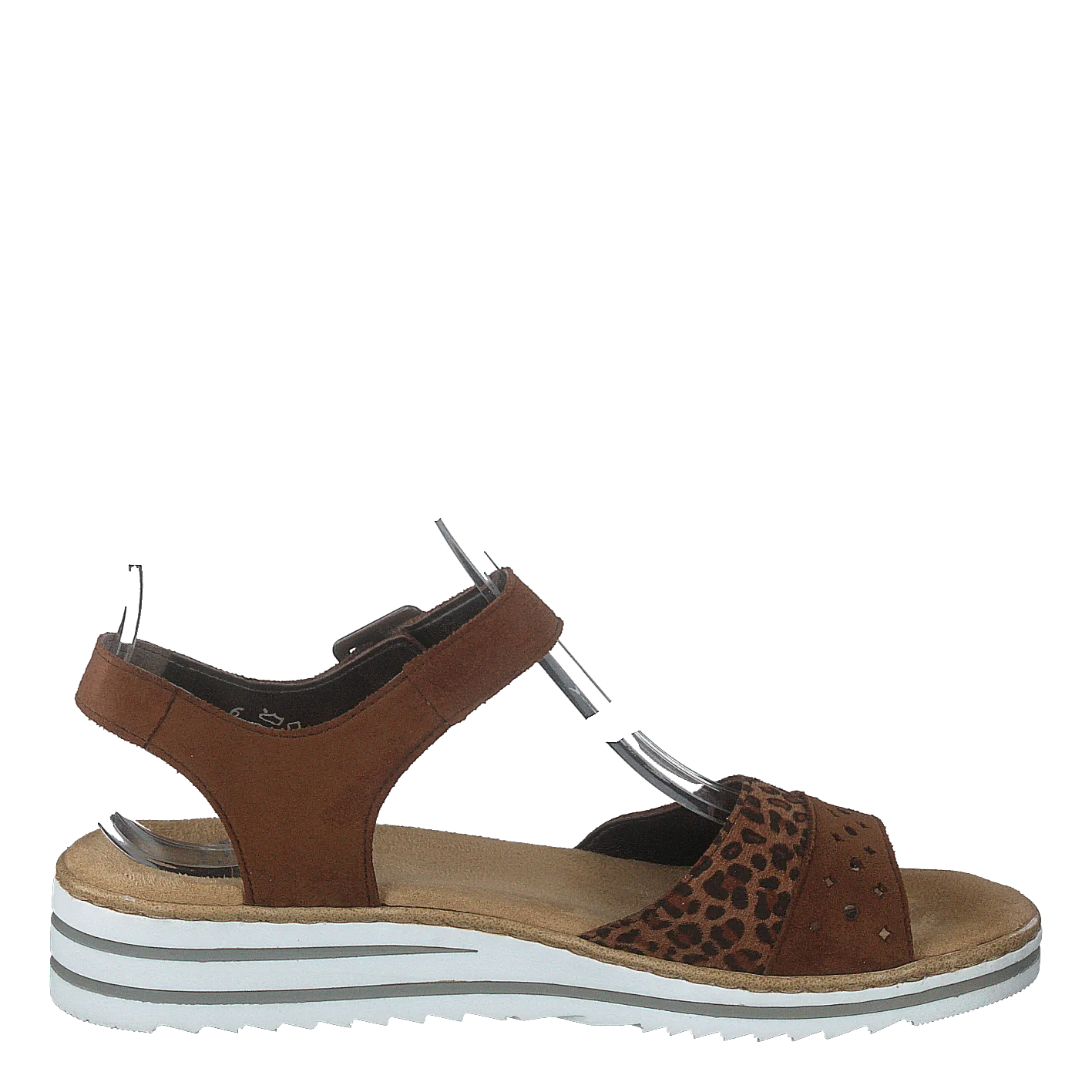 V0626-24 Leo/brown